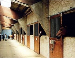 Equitation et randonnees Equestres dans la Vienne